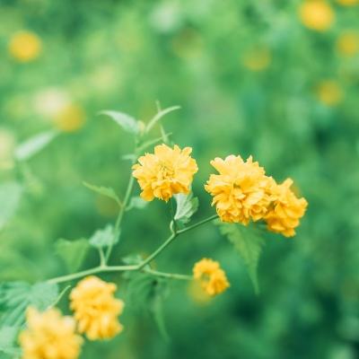 悟空别嚣张破解版下载